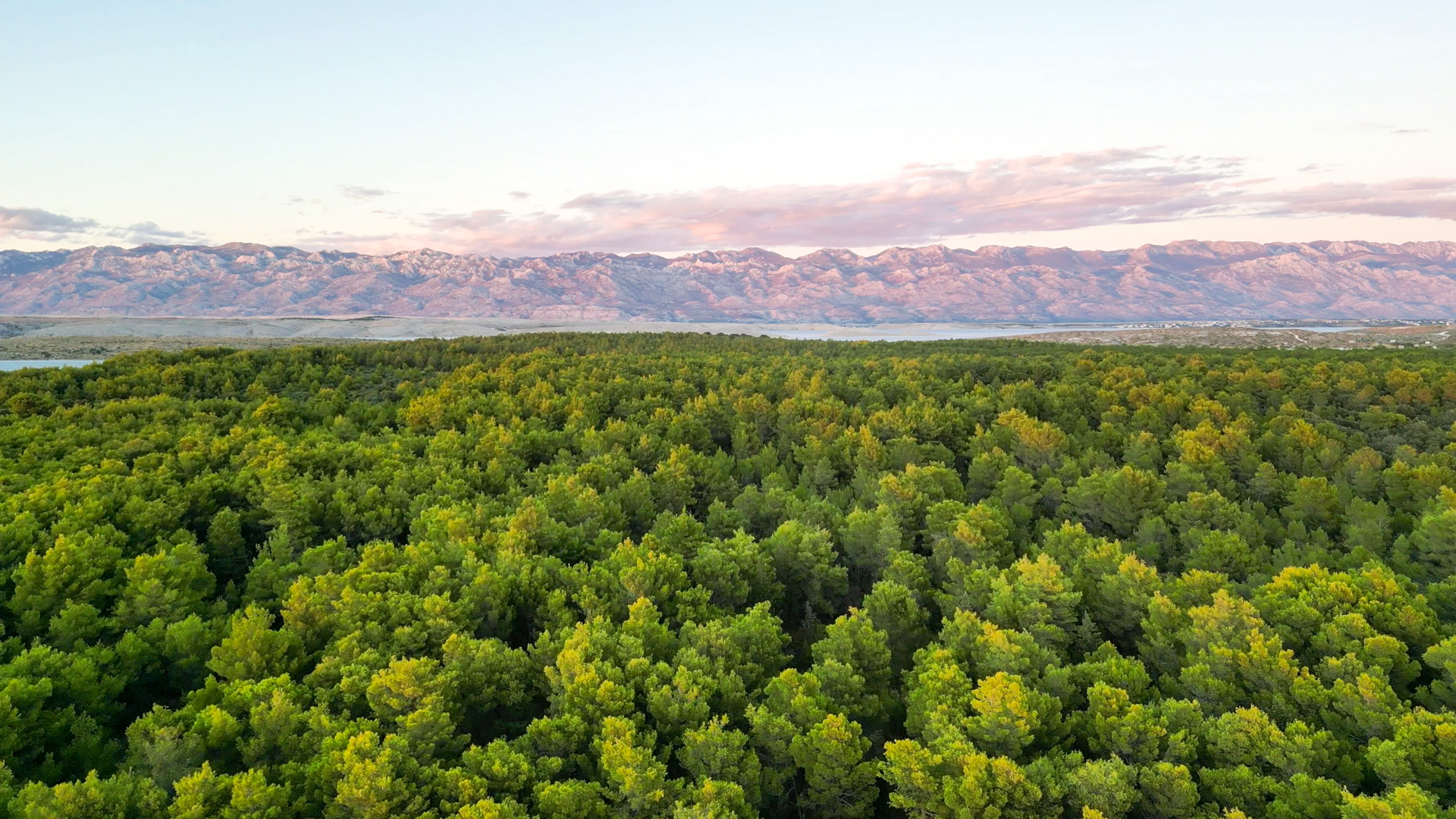 Panoramablick über die einsame Bucht bei Vrsi in Norddalmatien