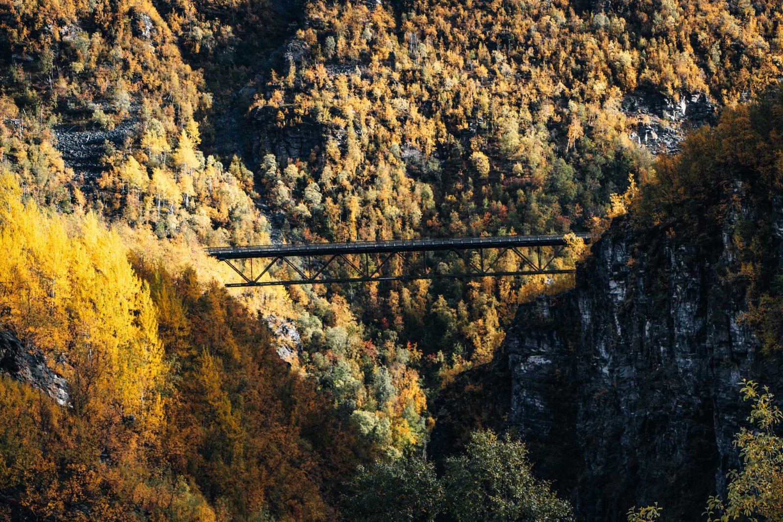 Herbstlandschaft Wanderung Gorsa Brücke erleben - Norwegen Roadtrip