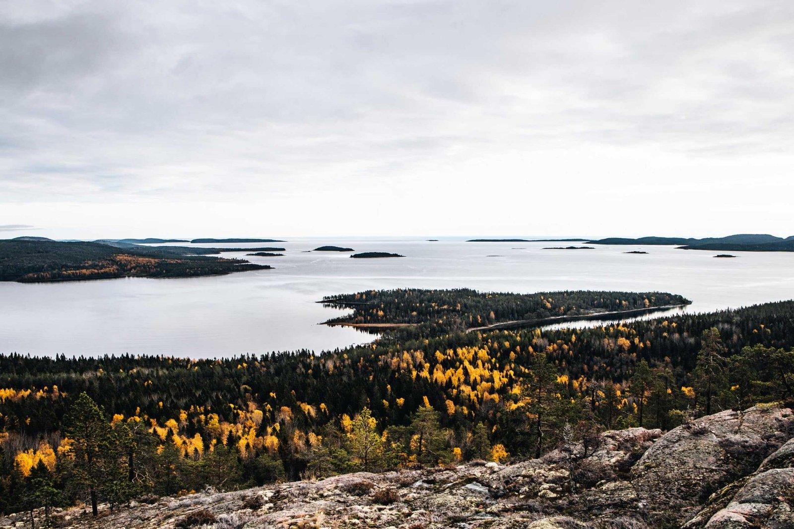 schweden roadtrip - Skuleskogen Nationalpark