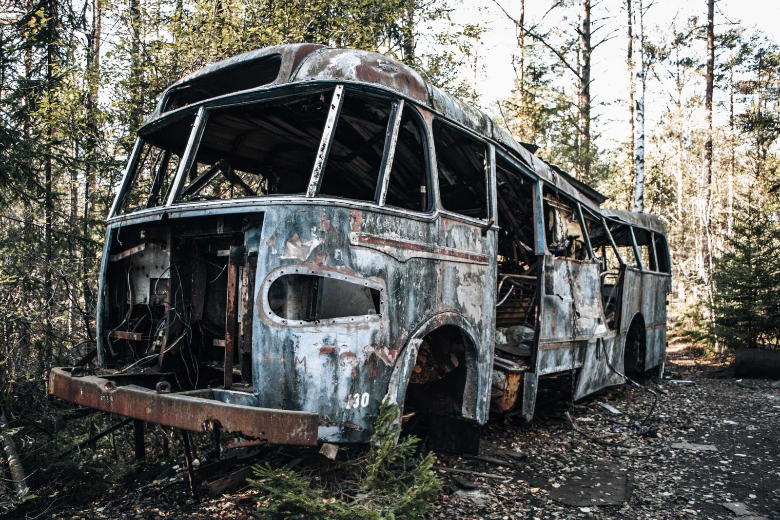 Verrosteter Bus im Kyrkö Mosse Wald - Schweden Roadtrip