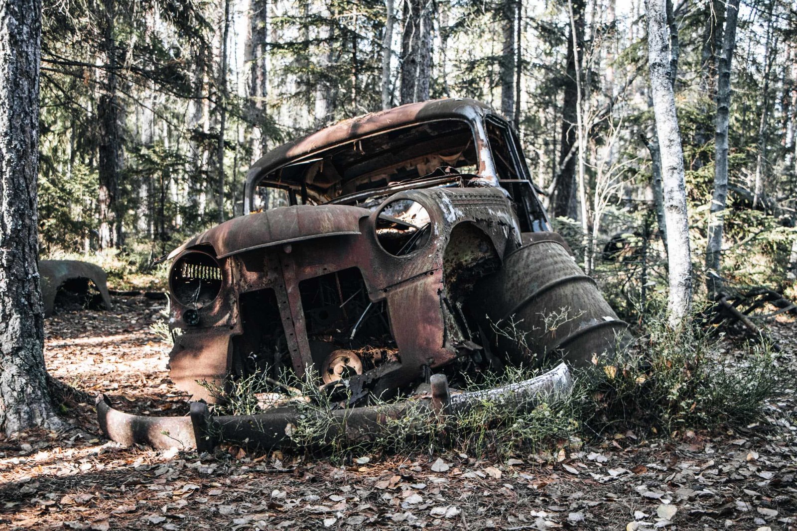 Verrosteter Oldtimer im Autofriedhof Kyrkö Mosse - Schweden Roadtrip