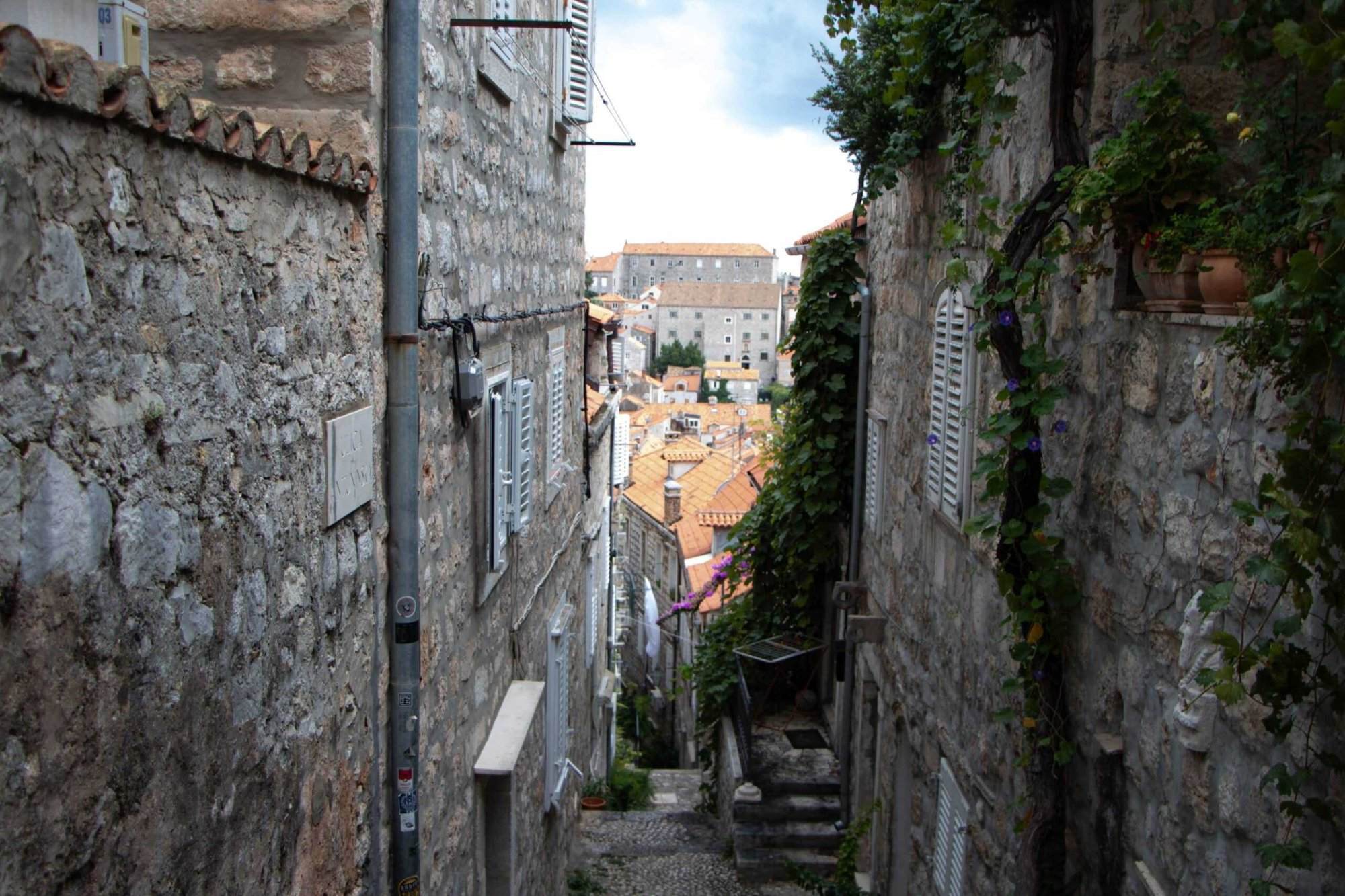 Historische Altstadt von Dubrovnik entdecken - Balkan Roadtrip