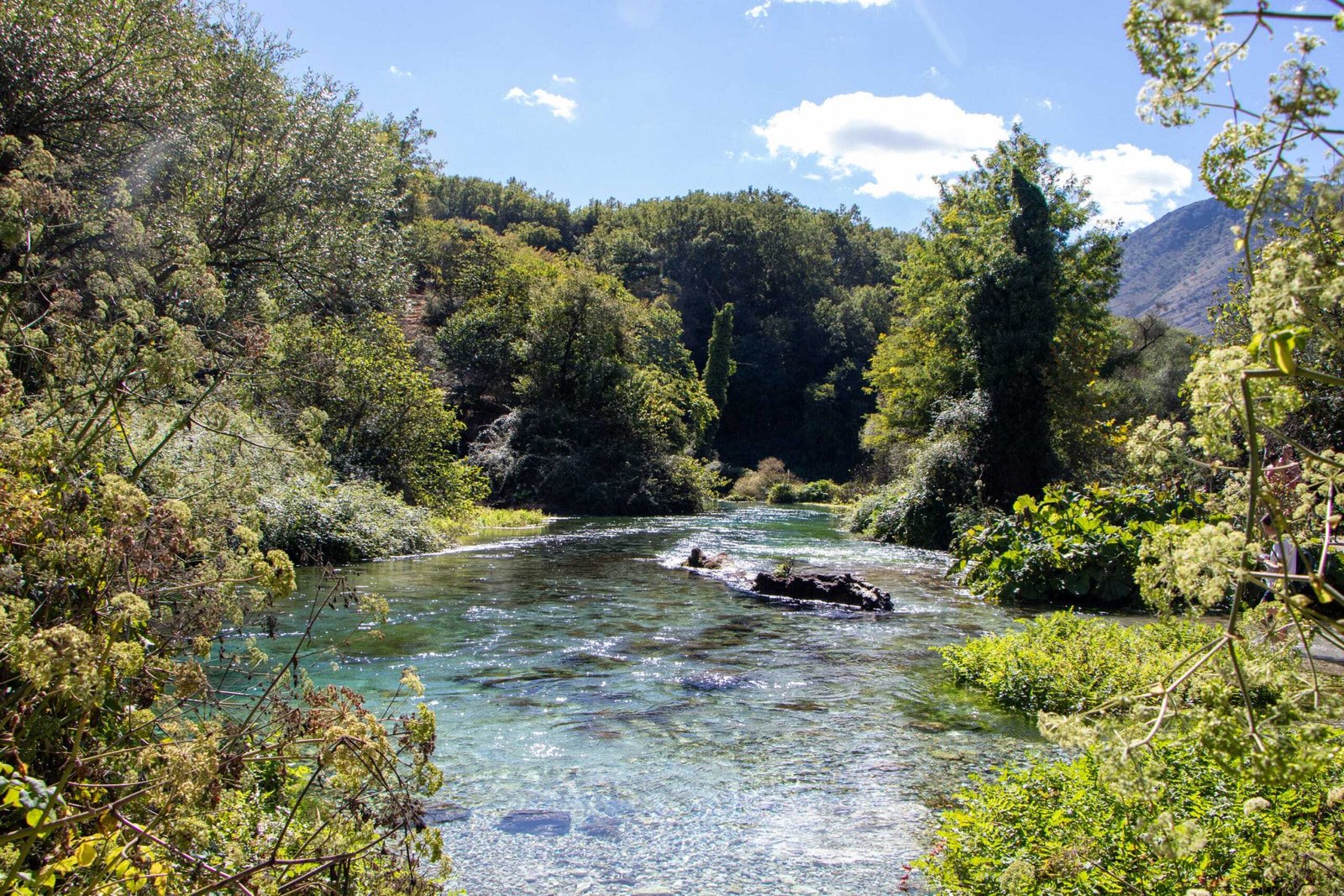 Klarer Fluss und üppige Natur entdecken – Balkan Roadtrip