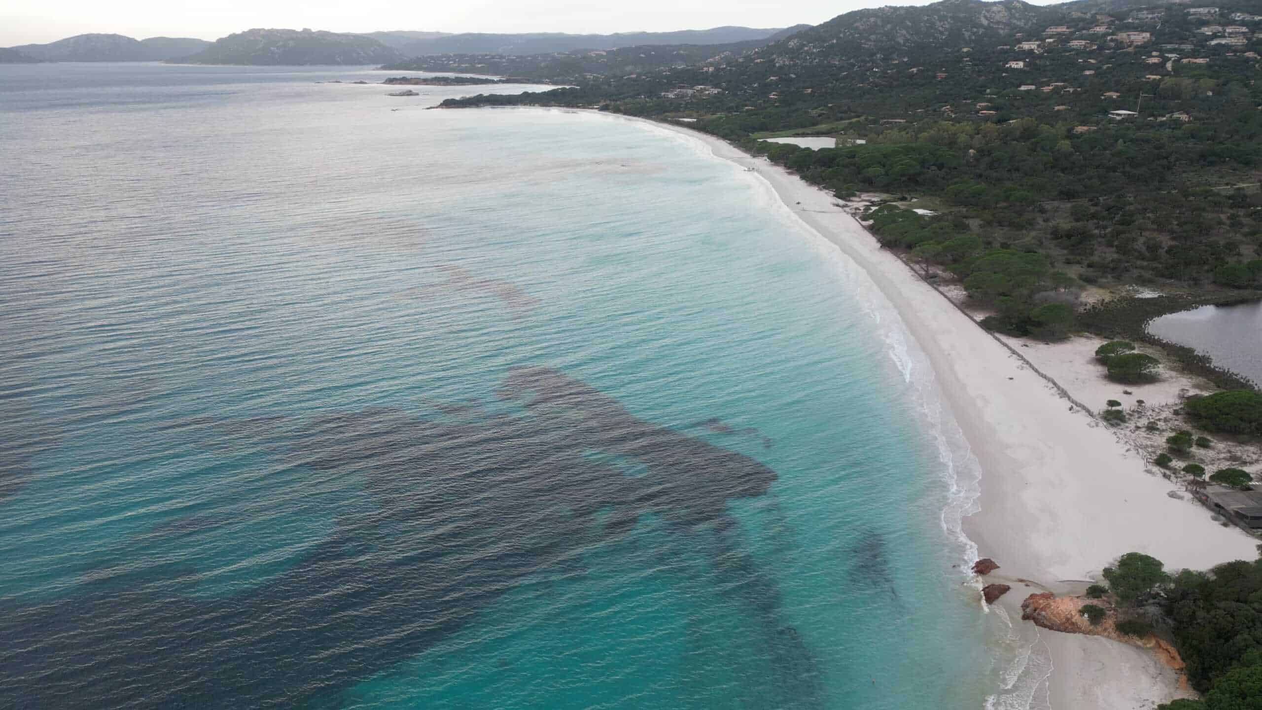 DJI_0140 Palombaggia -