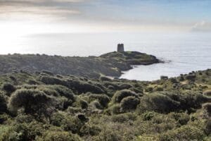 K&uuml;stenstra&szlig;e SP71