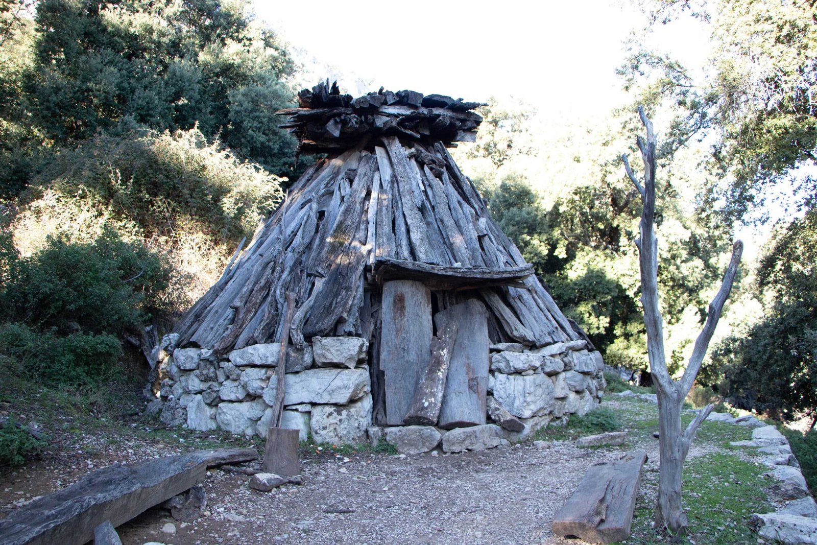 Traditionelle sardische Hirtenhütte in bewaldeter Umgebung – Sardinien Rundreise