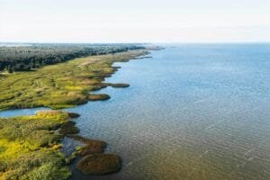 Stellplatz Kintai Kurisches Haff