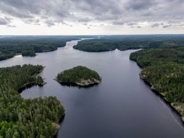 Pisamalahti Linnavuori