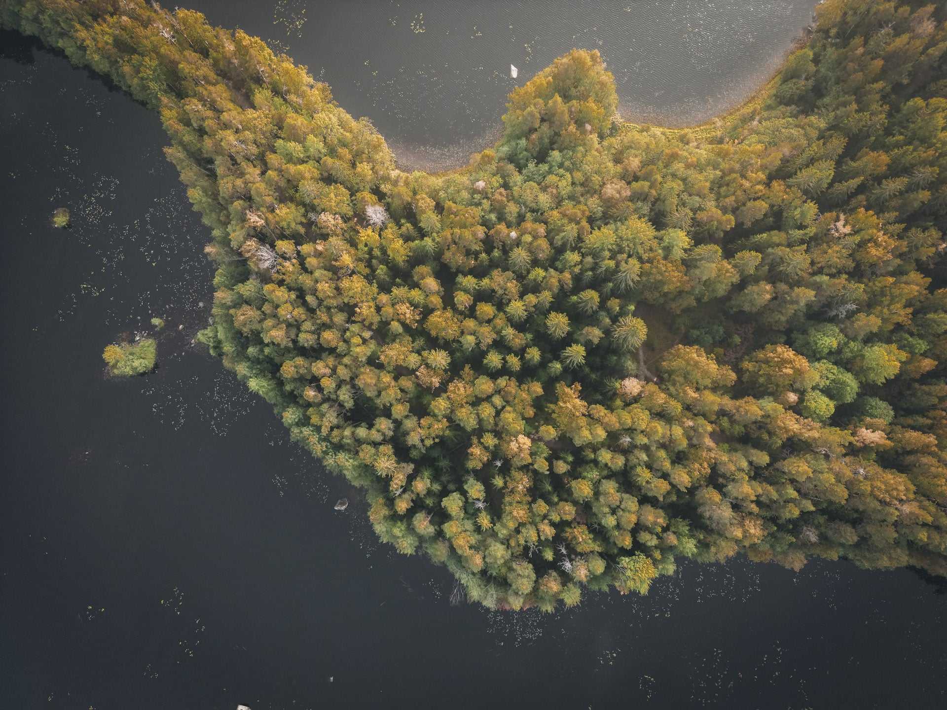DJI_0568 Pisamalahti Linnavuori