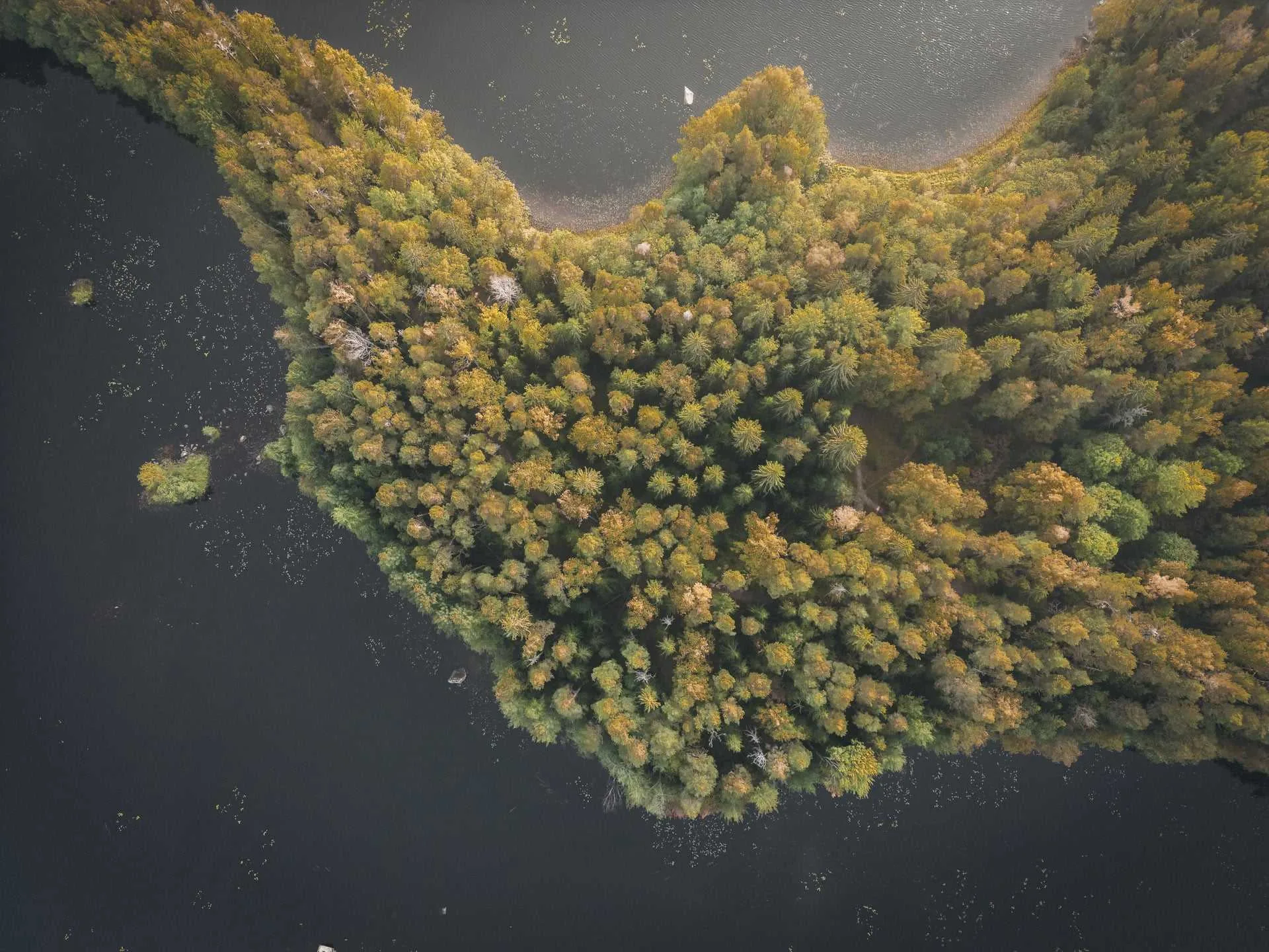 Luftaufnahme von Kyynäränharju in Finnland - Finnland Rundreise
