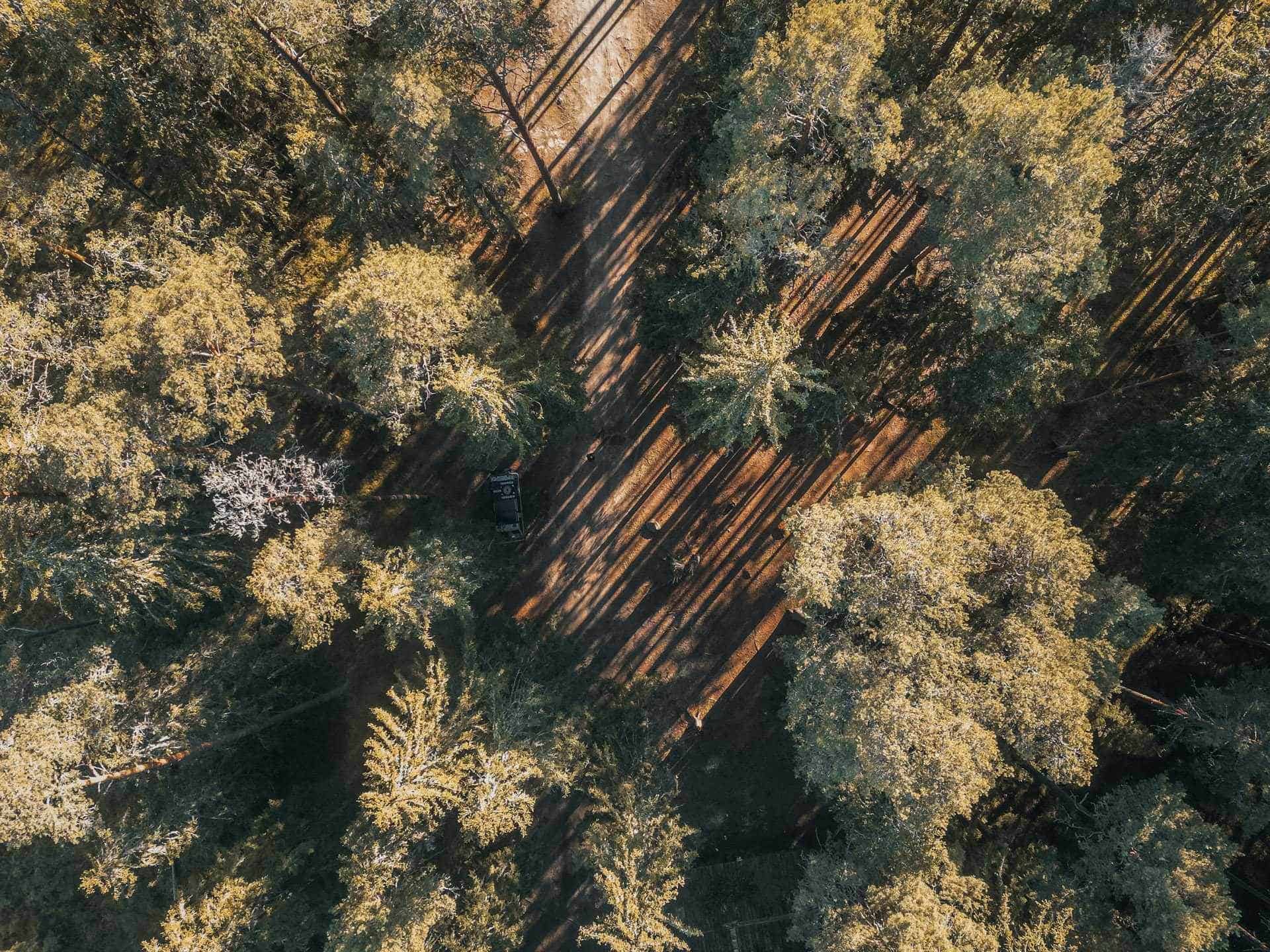 DJI_0643 RMK Stellplatz Laho Metsaonn -