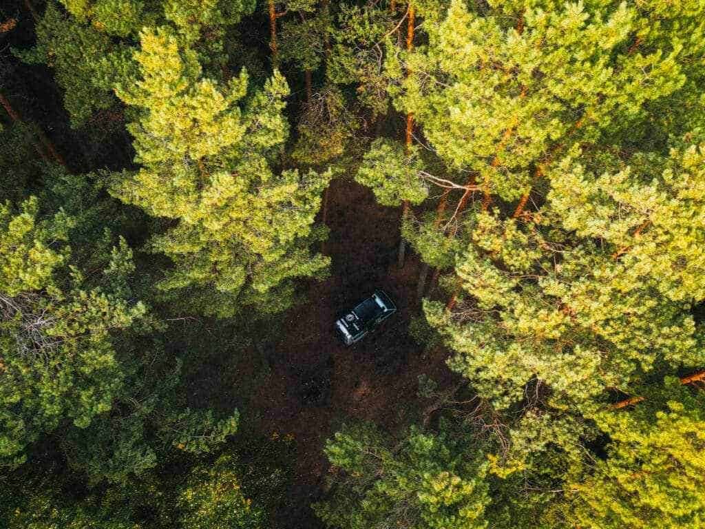 Stellplatz mitten im Wald - Baltikum Rundreise