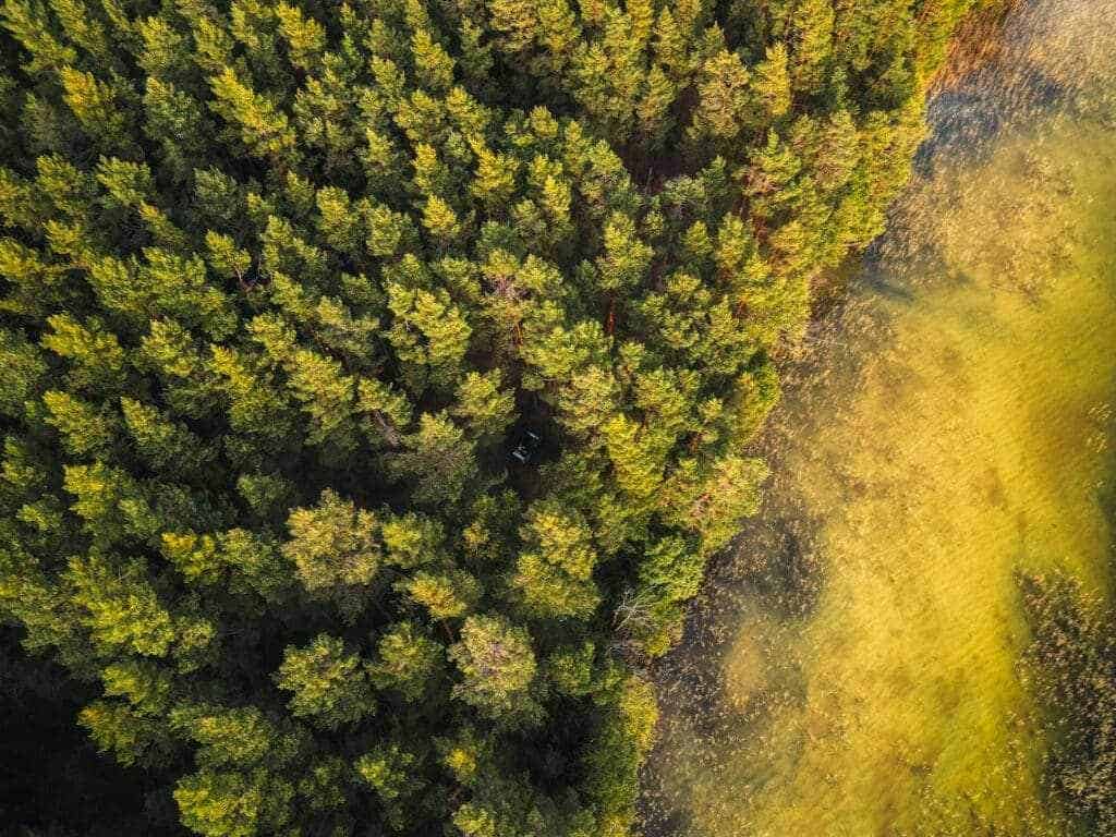 Stellplatz mitten im Wald - Baltikum Rundreise