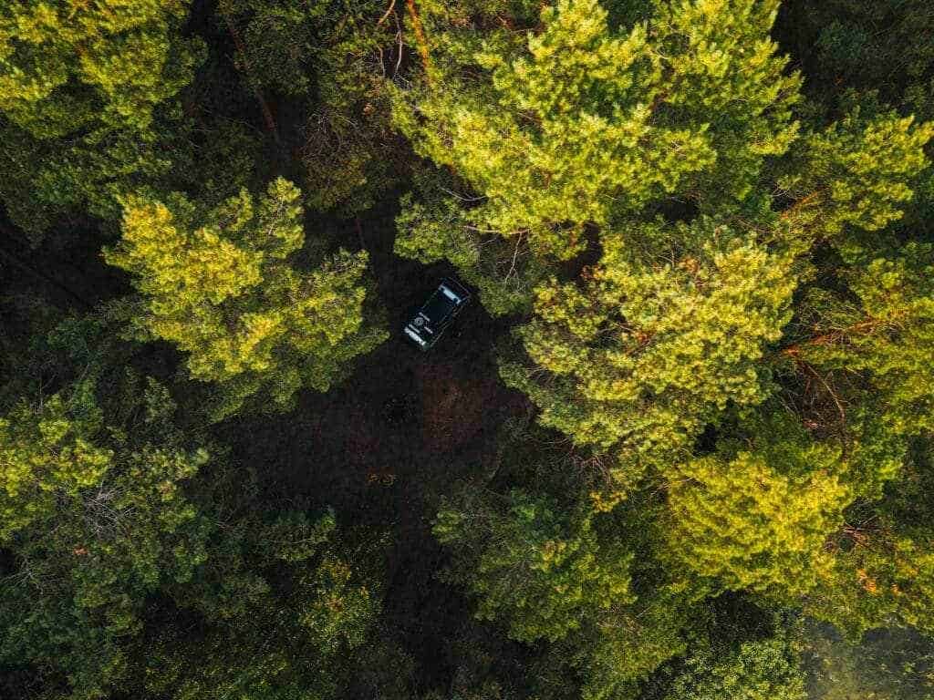 Stellplatz mitten im Wald - Baltikum Rundreise