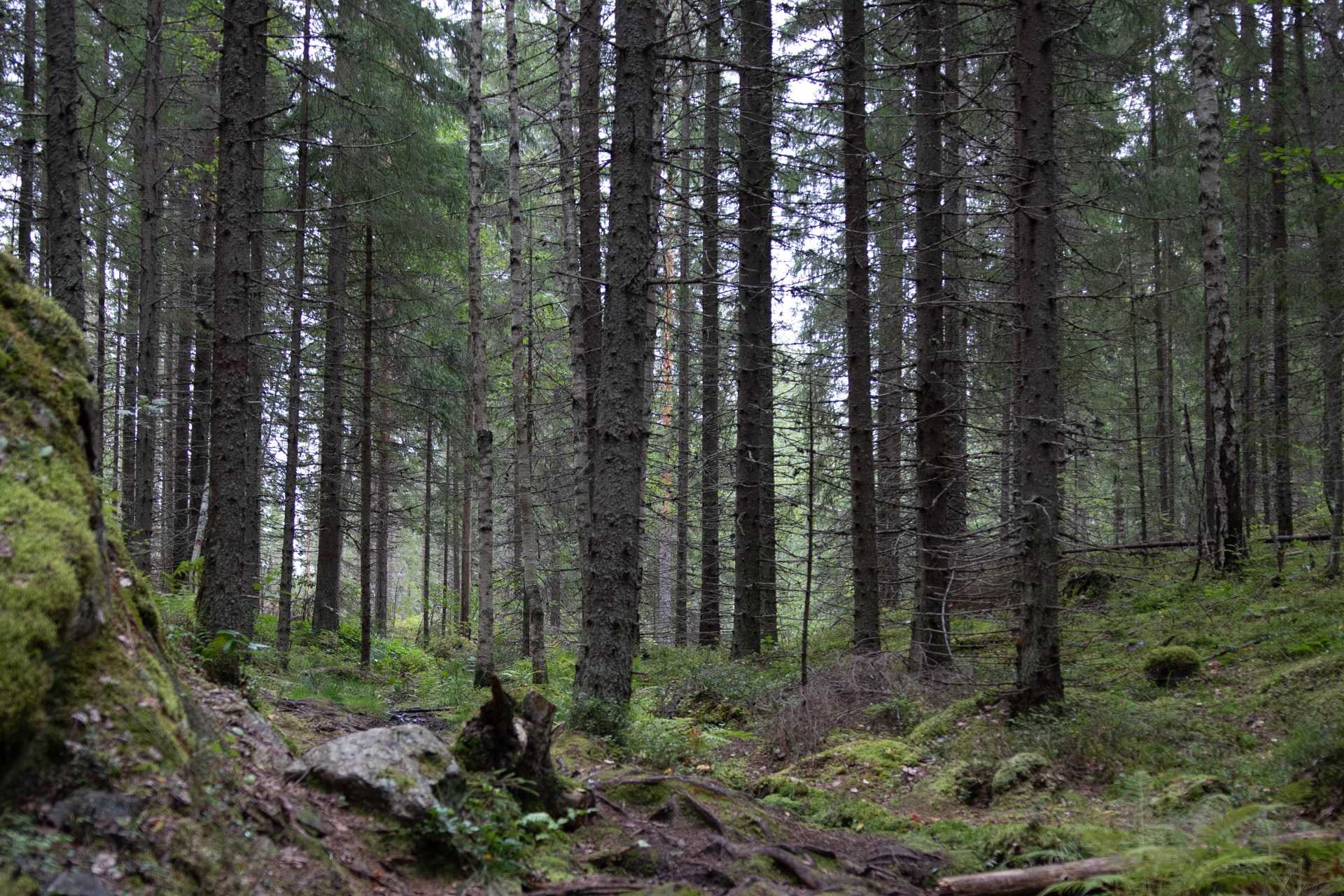 kummakivi, Finnland Rundreise -