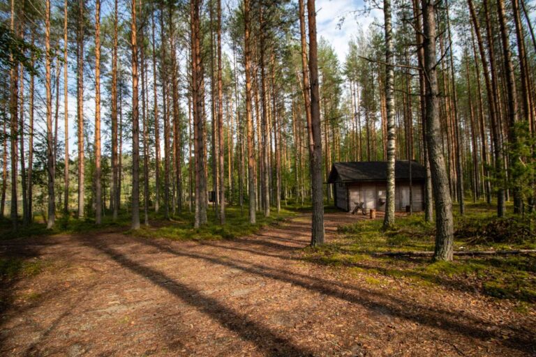 Kolovesi Nationalpark Finnland Rundreise