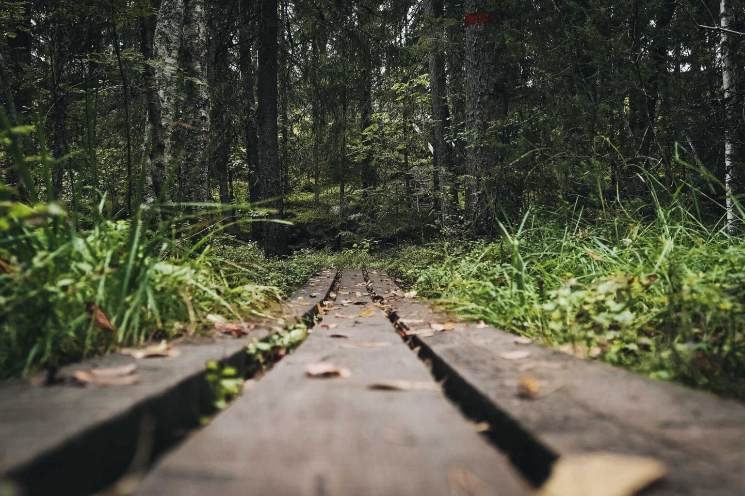 Finnland Wandern