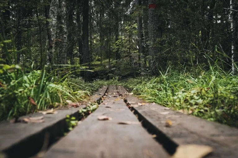 Finnland Wandern