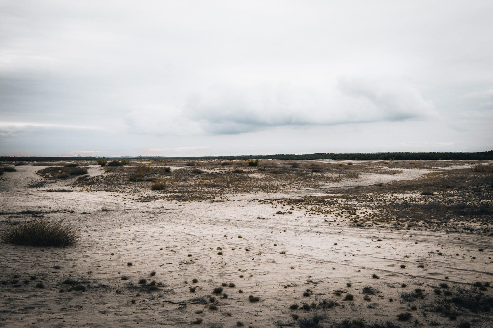 Sanddünen Bledow Wüste Polen