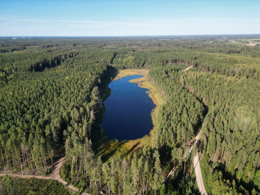 Estland Roadtrip