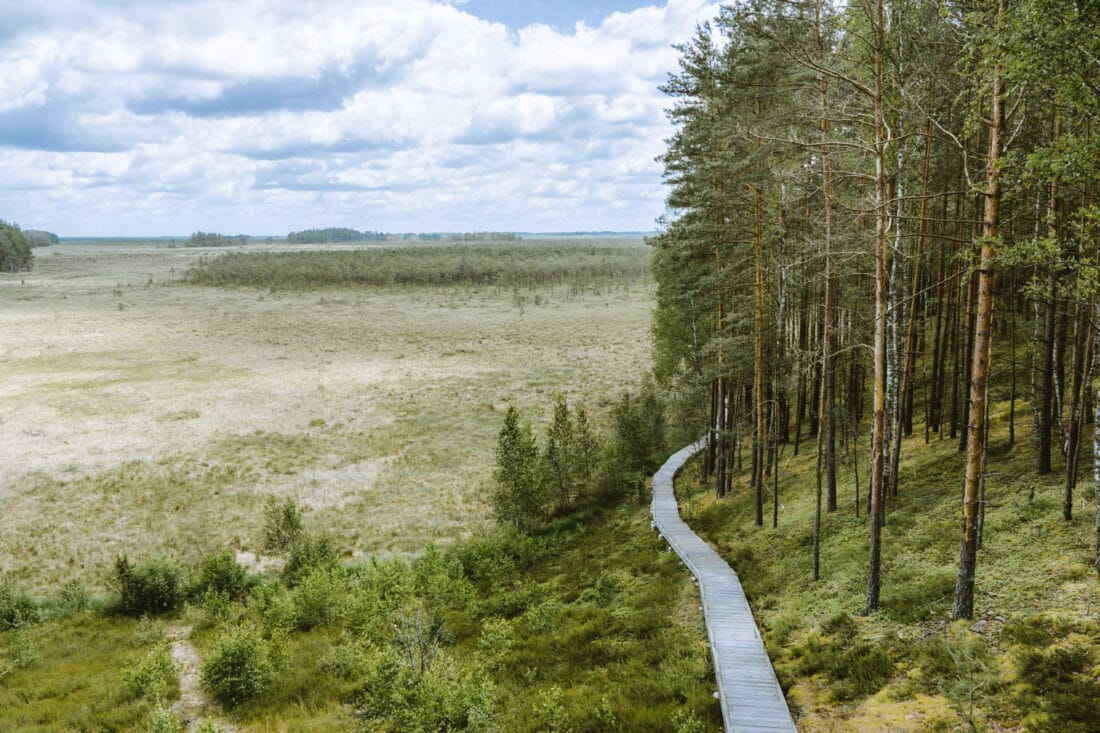 Nationalpark Dzūkija – Endlose Wälder, Moore und ursprüngliche Landschaften
