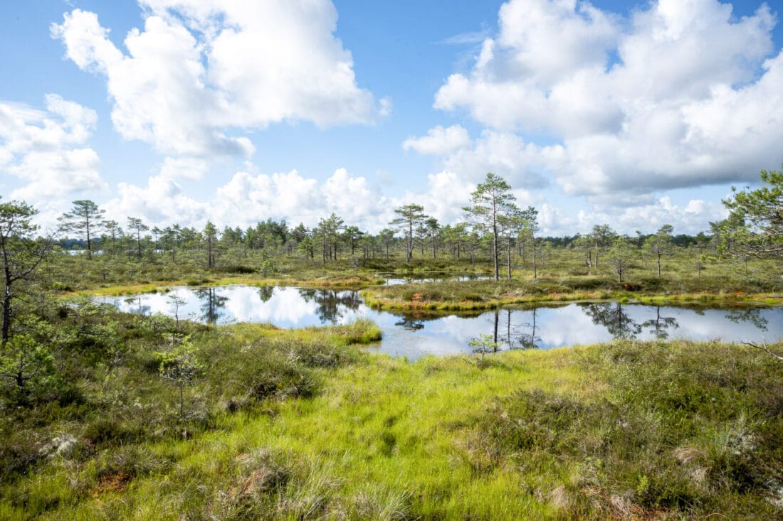 Soomaa Nationalpark Estland