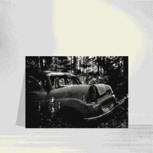 Kyrkö Mosse
