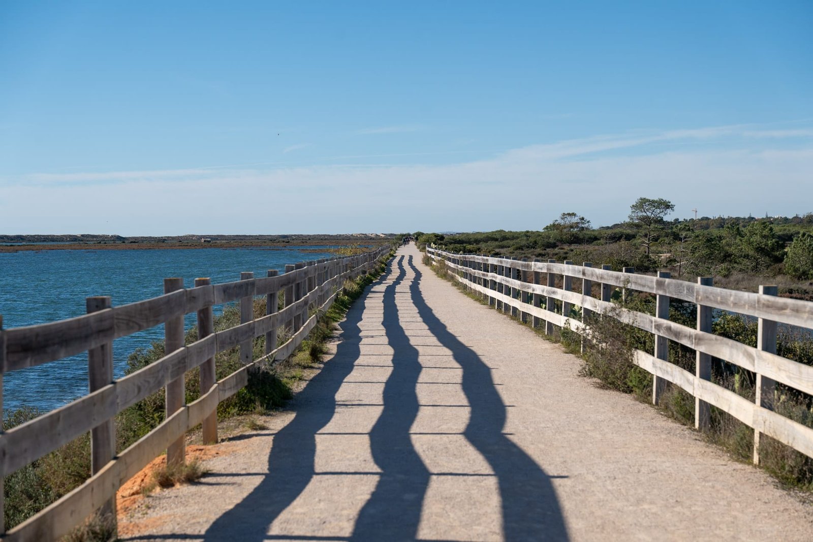 Ludo Trail in Faro - Algarve Portugal