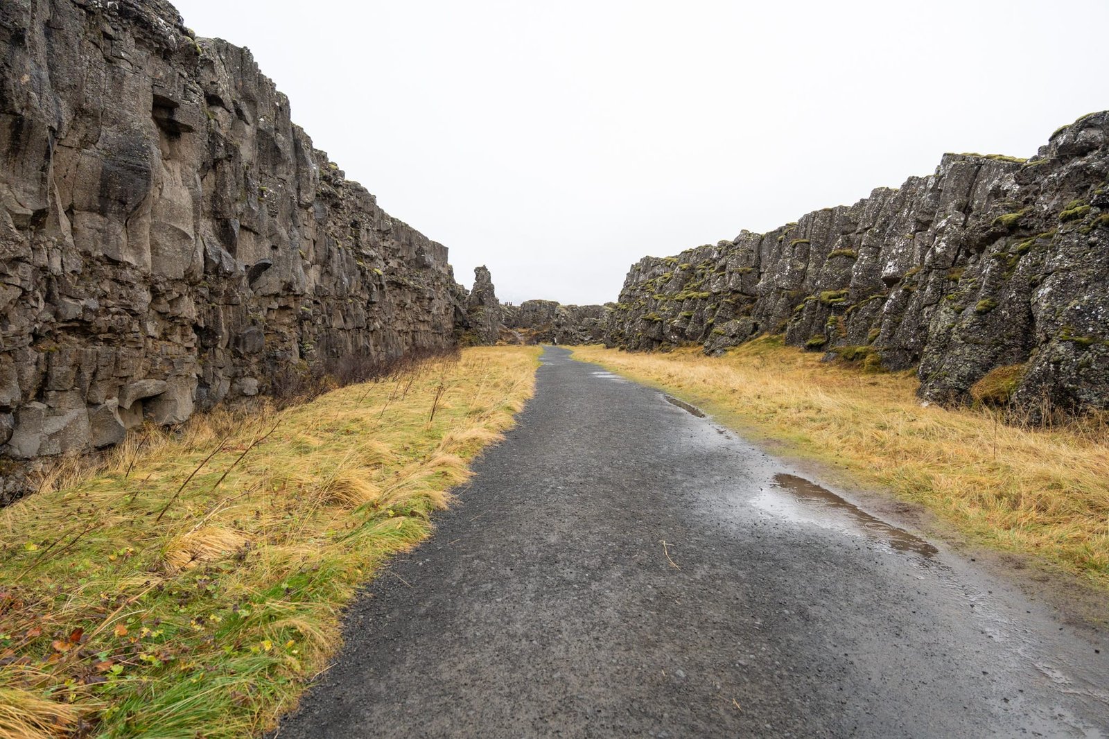 Weg durch die Almannagjá im Thingvellir nationalpark
