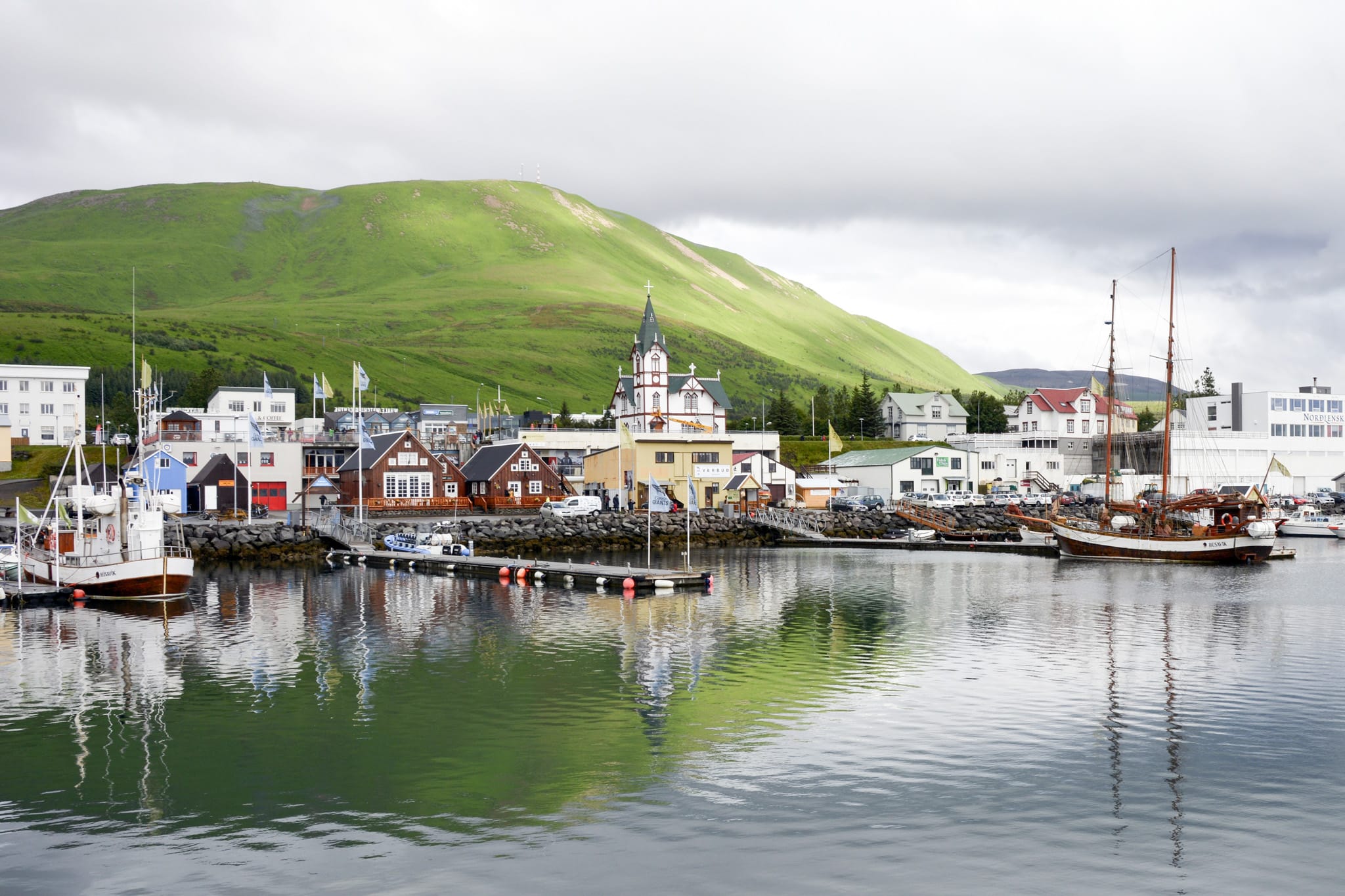 Husavik Whale Watching