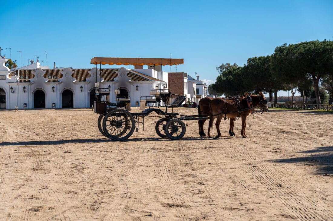 Kutsche in El Rocío, Andalusien
