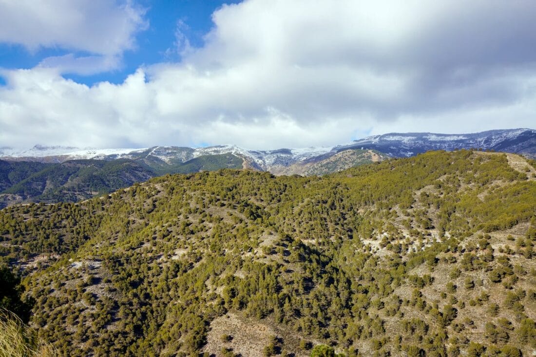 Sierra Nevada